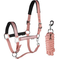 Produktbild von Horka Brilliance Set aus Halfter und Longiergurt für Ponys aus Biothane in Rosa