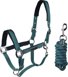 HORKA Classic Delight Pferd Halfter in Blau und Türkis – Bild 1 von 1