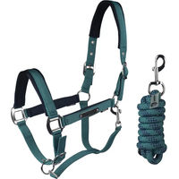 Produktbild von HORKA Classic Delight Shetty Halfter aus Neopren in Blau und Türkis