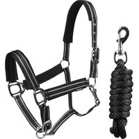 Produktbild von HORKA Deluxe Set aus Halfter und Longiergurt für Pferde aus Nylon in Schwarz und Blau
