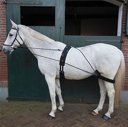 Produktbild von HORKA Equestrian Gebiss für Pferde in verschiedenen Farben