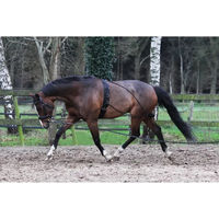 Produktbild von HORKA Longierbedarf Schwarz