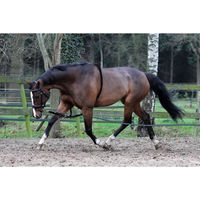 Produktbild von HORKA Longierhilfe für Ponys aus Leder und Baumwolle in Schwarz