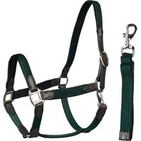 Produktbild von HORKA Pferdehalfter aus Leder für Ponys in Braun oder Grün