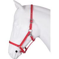 Produktbild von HORKA Pferdehalfter Basis Rot für Ponys