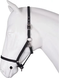 Produktbild von HORKA Pferdehalfter Basis Schwarz für Warmblut