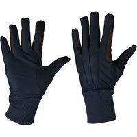 Produktbild von HORKA Winterhandschuhe Serino Unisex Blau Größe L