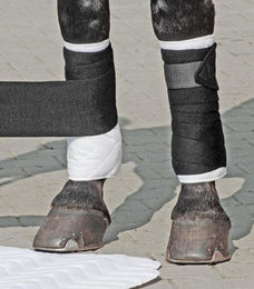 Produktbild von Horse Fitform Bandagen-Unterlagen Gamaschen aus Baumwolle 30x40 cm 1 Paar