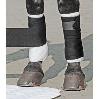 Produktbild von Horse Fitform Bandagen-Unterlagen Gamaschen aus Baumwolle 30x40 cm 1 Paar