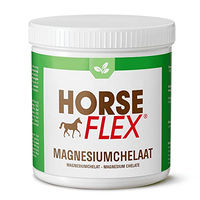 Produktbild von HORSE FLEX Magnesiumchelat Pulver für Pferde zur Unterstützung von Muskeln und Hufen 500 Gramm