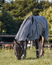 Produktbild von Horse Guard Fliegendecke Madison Grau für Pferde