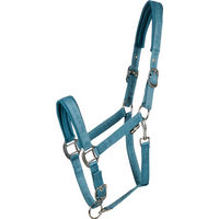 Produktbild von Horse Guard Halfter Diya 2.0 aus Polyester in Türkis
