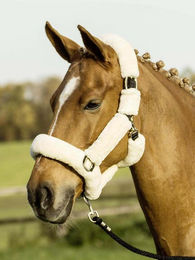 Horse Guard Halfter mit Kunstfell in Schwarz/Creme für Warmblut – Bild 1 von 1