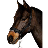Produktbild von Horse Guard Nylonhalfter für Ponys mit integrierter Führkette in Schwarz