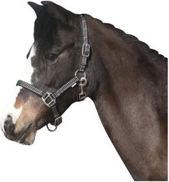 Horse Guard Rio Halfter für Ponys aus Nylon in Grau/Schwarz – Bild 1 von 3