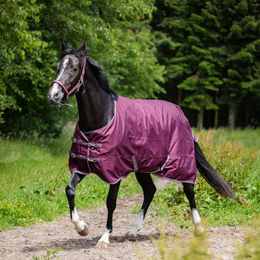 Horse Guard Turnout Landon Weidedecke für Pferde Lila 145 cm – Bild 1 von 3