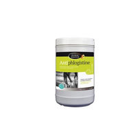 Produktbild von Horse Master Antiphlogistine Kühlwrap für Pferde Weiß 1,5 kg - 1,5 kg