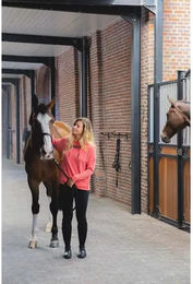 Produktbild von Horse Pilot Hoodie Damen Rosa XS