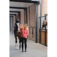 Produktbild von Horse Pilot Hoodie Damen Rosa XS