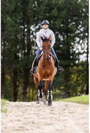 Horse Pilot Softlight Damen Jacke Grau Größe S – Bild 1 von 7