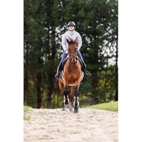 Produktbild von Horse Pilot Softlight Damen Jacke Grau Größe S
