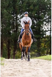 Produktbild von Horse Pilot Softlight Daunenjacke Reitjacke für Damen und Herren Grau XS