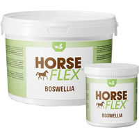 Produktbild von HorseFlex Boswellia Ergänzungsfutter für Pferde zur Unterstützung von Gelenken, Haut, Fell, Atemwegen und Verdauung 500 g