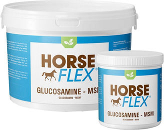 HorseFlex Glucosamin-MSM Pulver zur Unterstützung von Gelenken und Hufen für Pferde 1 kg – Bild 1 von 2