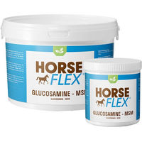 Produktbild von HorseFlex Glucosamin-MSM Pulver zur Unterstützung von Gelenken und Hufen für Pferde 3 kg
