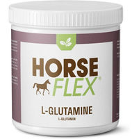 Produktbild von HorseFlex L-Glutamin Ergänzungsfutter für Pferde zur Unterstützung von Muskelaufbau und Verdauung 500 g