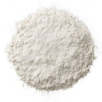 Produktbild von HorseFlex Magnesium Chelat Nahrungsergänzung für Pferde zur Unterstützung des Muskelaufbaus 1 kg