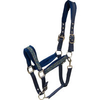 Produktbild von HorseGuard Angel Nylon Halfter für Pferde in Blau und Silber
