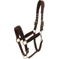 Produktbild von HorseGuard Angel Nylon Halfter für Pferde in Braun und Silber