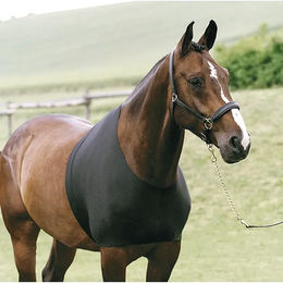 Produktbild von HorseGuard Brustschutz für Pferde Schwarz Größe M