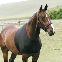 Produktbild von HorseGuard Brustschutz für Pferde Schwarz Größe M