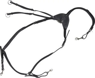 Produktbild von HorseGuard Dian Martingal mit Plastron aus Leder in Schwarz für Vollblut