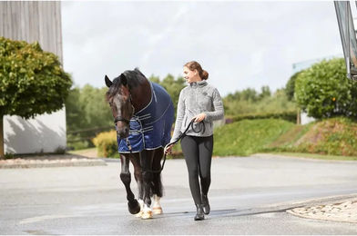 Produktbild von HorseGuard Diya 2.0 Halfter für Pferde aus Neopren in Schwarz Blau Größe XXFull