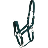 Produktbild von HorseGuard Diya 2.0 Halfter für Ponys in Grün