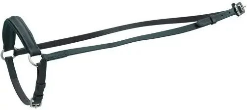 Produktbild von HorseGuard Fallendes Reithalfter aus Leder in Schwarz Full