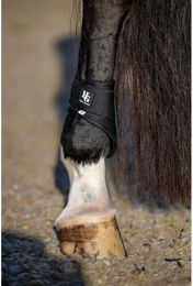 Produktbild von HorseGuard Gamaschen für Ponys in Grün