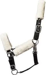 Produktbild von HorseGuard Gepolstertes Halfter aus Nylon in Schwarz Größe XFull
