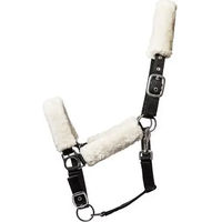 Produktbild von HorseGuard Gepolstertes Halfter aus Nylon in Schwarz Größe XFull