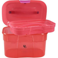Produktbild von HorseGuard Grooming Box für Kinder in Rosa Transparent aus Kunststoff