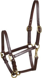 HorseGuard Halfter aus Leder in Braun – Bild 1 von 1