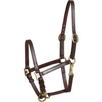 Produktbild von HorseGuard Halfter aus Leder in Braun