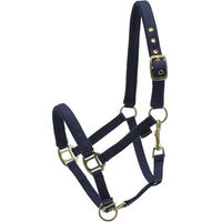 Produktbild von HorseGuard Halfter aus Nylon für Pferde in Blau