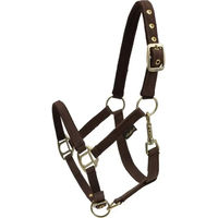 Produktbild von HorseGuard Halfter aus Nylon für Vollblut in Braun
