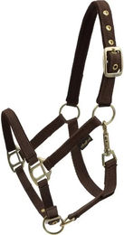 Produktbild von HorseGuard Halfter aus Nylon in Braun Größe XFull