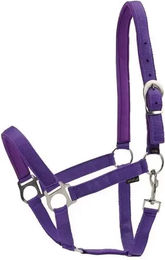 Produktbild von HorseGuard Halfter aus Nylon in Lila