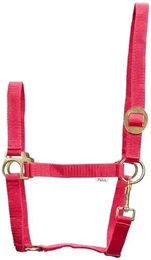 Produktbild von HorseGuard Halfter aus Nylon in Rosa Größe XFull